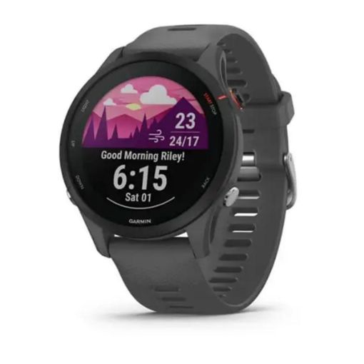 Forerunner 255 Slate Grey, Garmin
