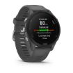 Forerunner 255 Slate Grey, Garmin